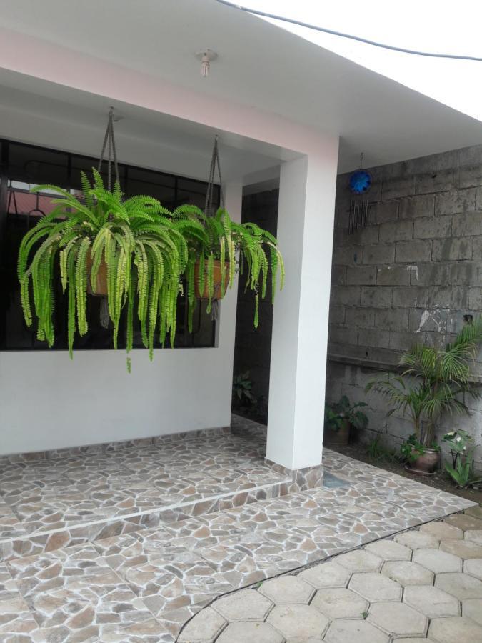 옥사팜파 Suzet House 게스트하우스 외부 사진